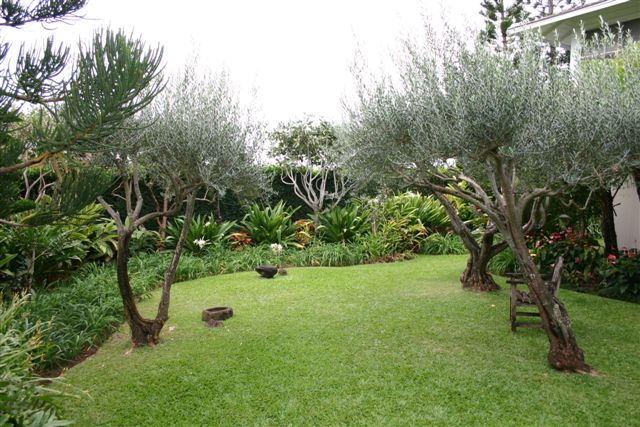 Charming trees and plants around home
